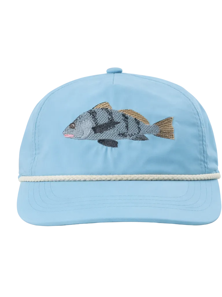 Light blue cap with fish embroidery on a white background