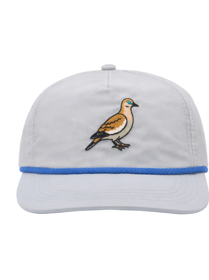 Gray cap with a bird emblem and blue band on a white background