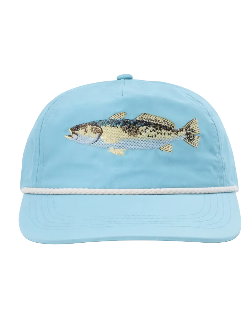Light blue cap with a fish design on a white background
