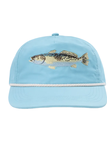 Light blue cap with a fish design on a white background