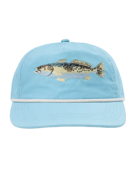 Light blue cap with a fish design on a white background