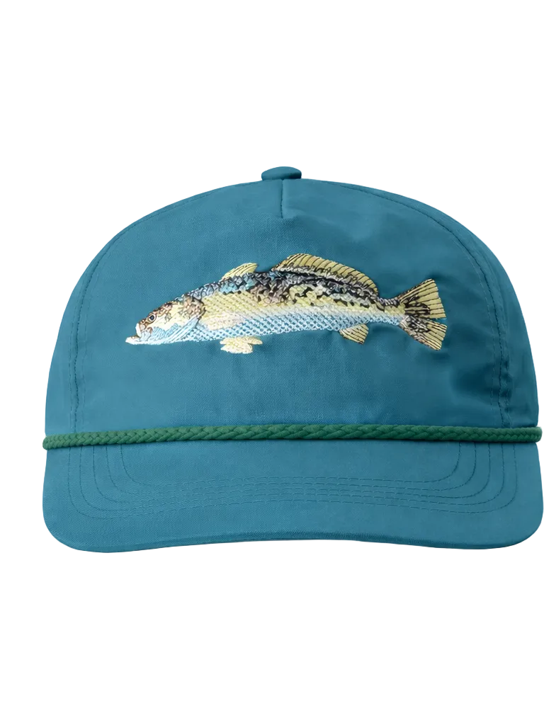 Teal cap with embroidered fish design on a white background