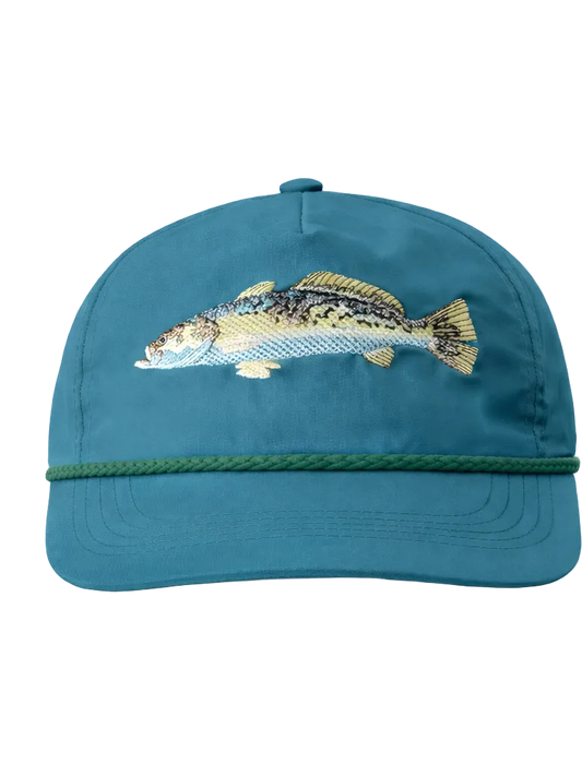 Teal cap with embroidered fish design on a white background